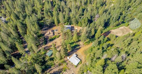 16548 New York House Rd, Brownsville, CA 95919 Photo