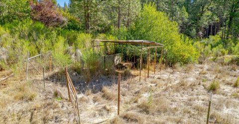 16548 New York House Rd, Brownsville, CA 95919 Photo