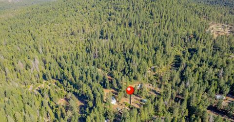 16548 New York House Rd, Brownsville, CA 95919 Photo