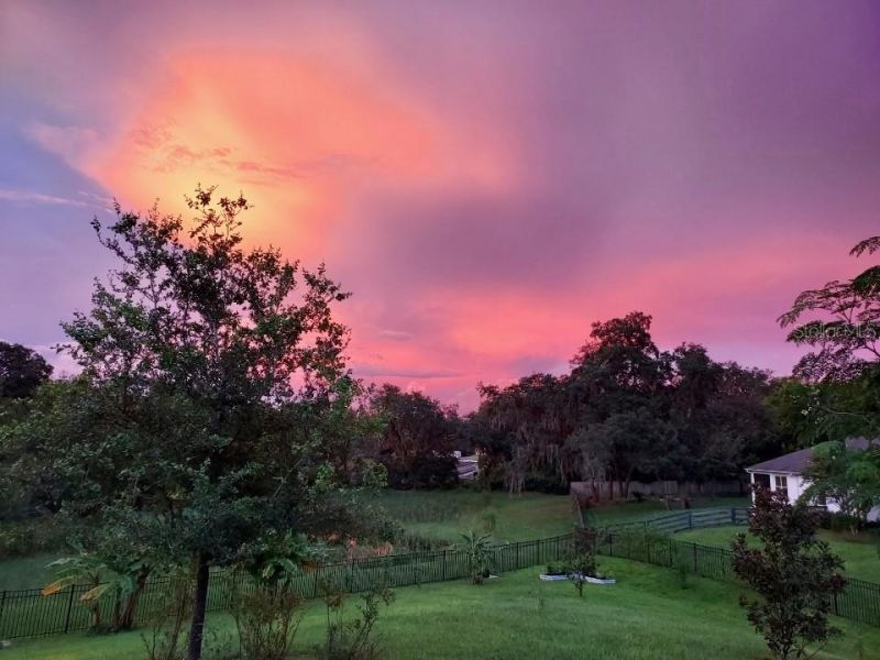 30339 Plymouth Creek Circle, Sorrento, FL 32776 Photo