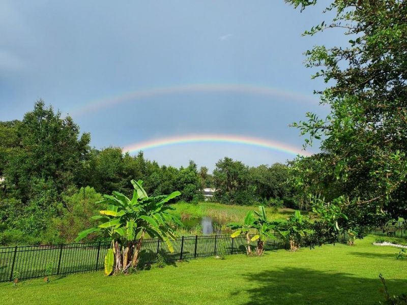 30339 Plymouth Creek Circle, Sorrento, FL 32776 Photo