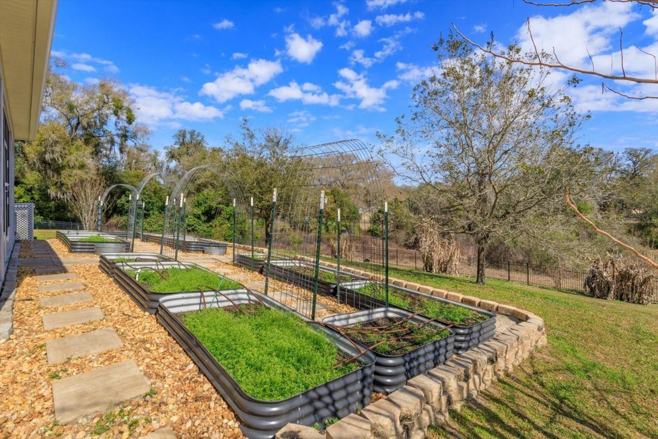 30339 Plymouth Creek Circle, Sorrento, FL 32776 Photo