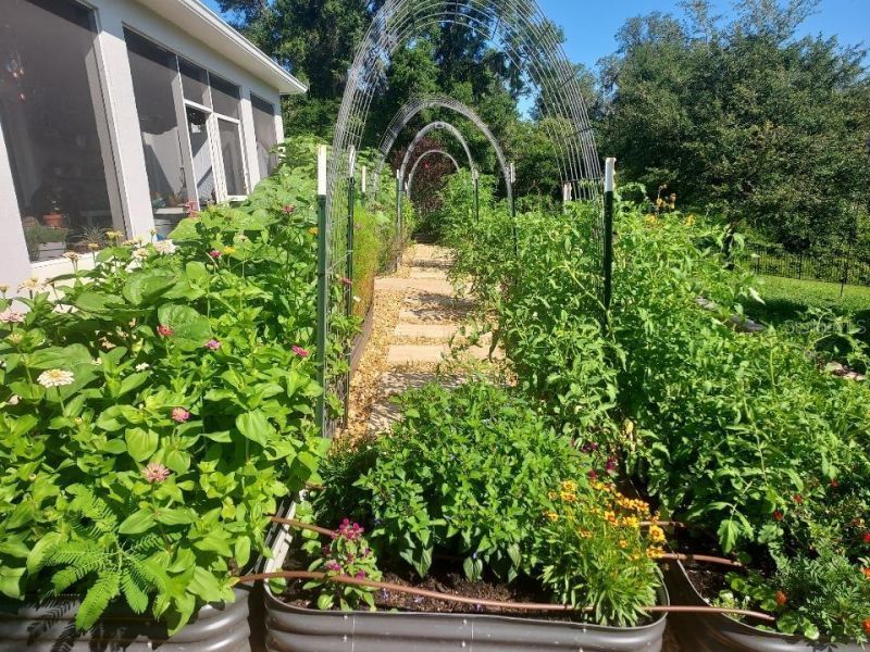 30339 Plymouth Creek Circle, Sorrento, FL 32776 Photo