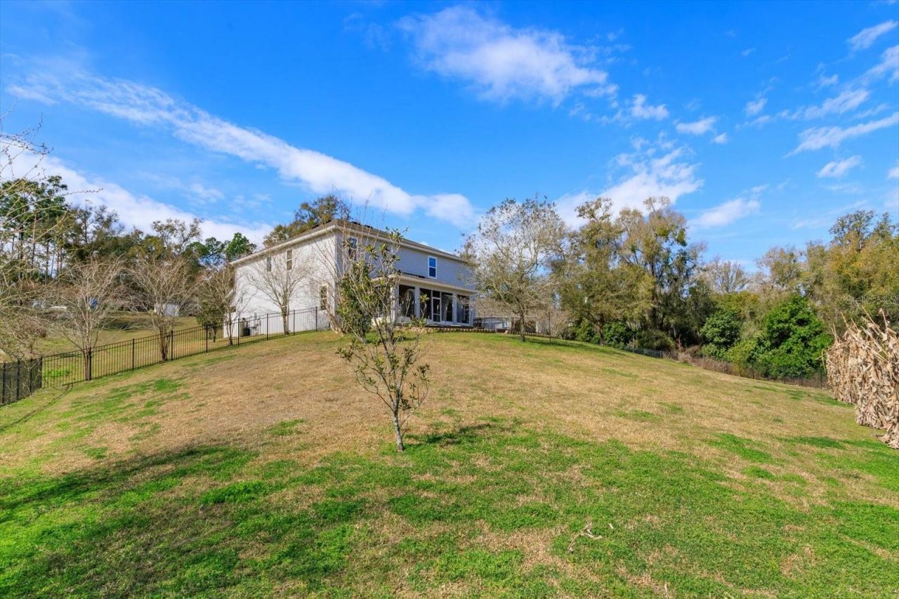 30339 Plymouth Creek Circle, Sorrento, FL 32776 Photo