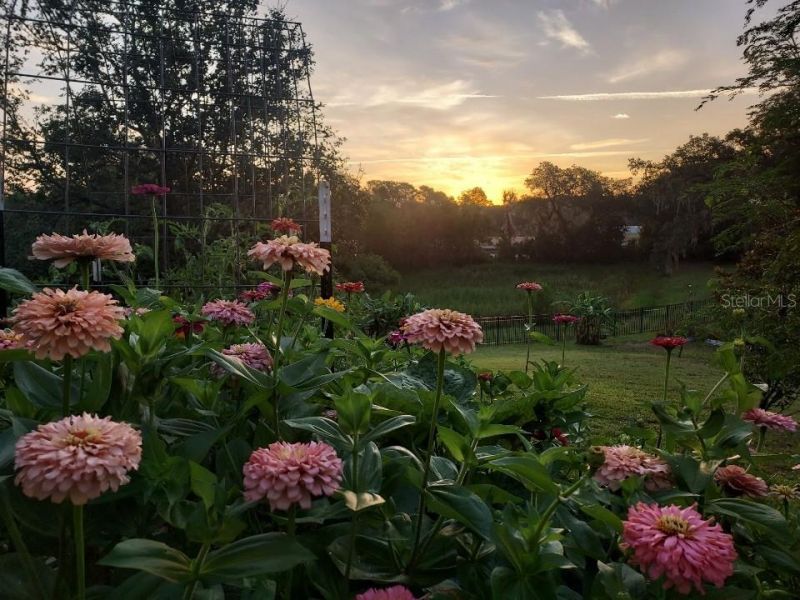 30339 Plymouth Creek Circle, Sorrento, FL 32776 Photo