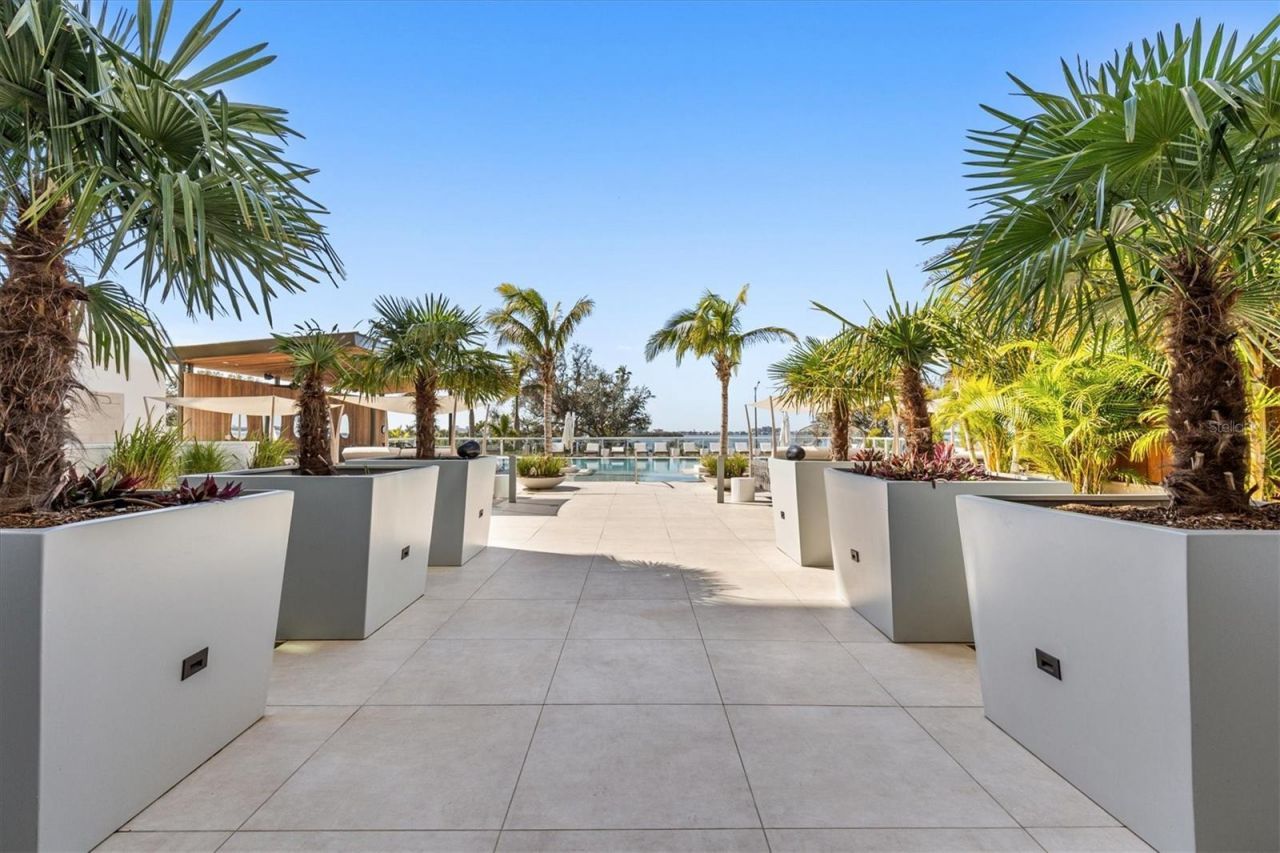 1020 Sunset Point Road, Unit 213, Clearwater, FL 33755 Photo