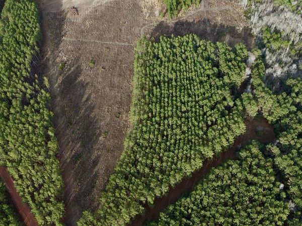 0 Harmony Ln Lot 10, Milan, GA 31060