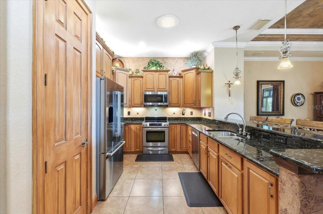 548 Meandering Way, Polk City, FL 33868 Photo