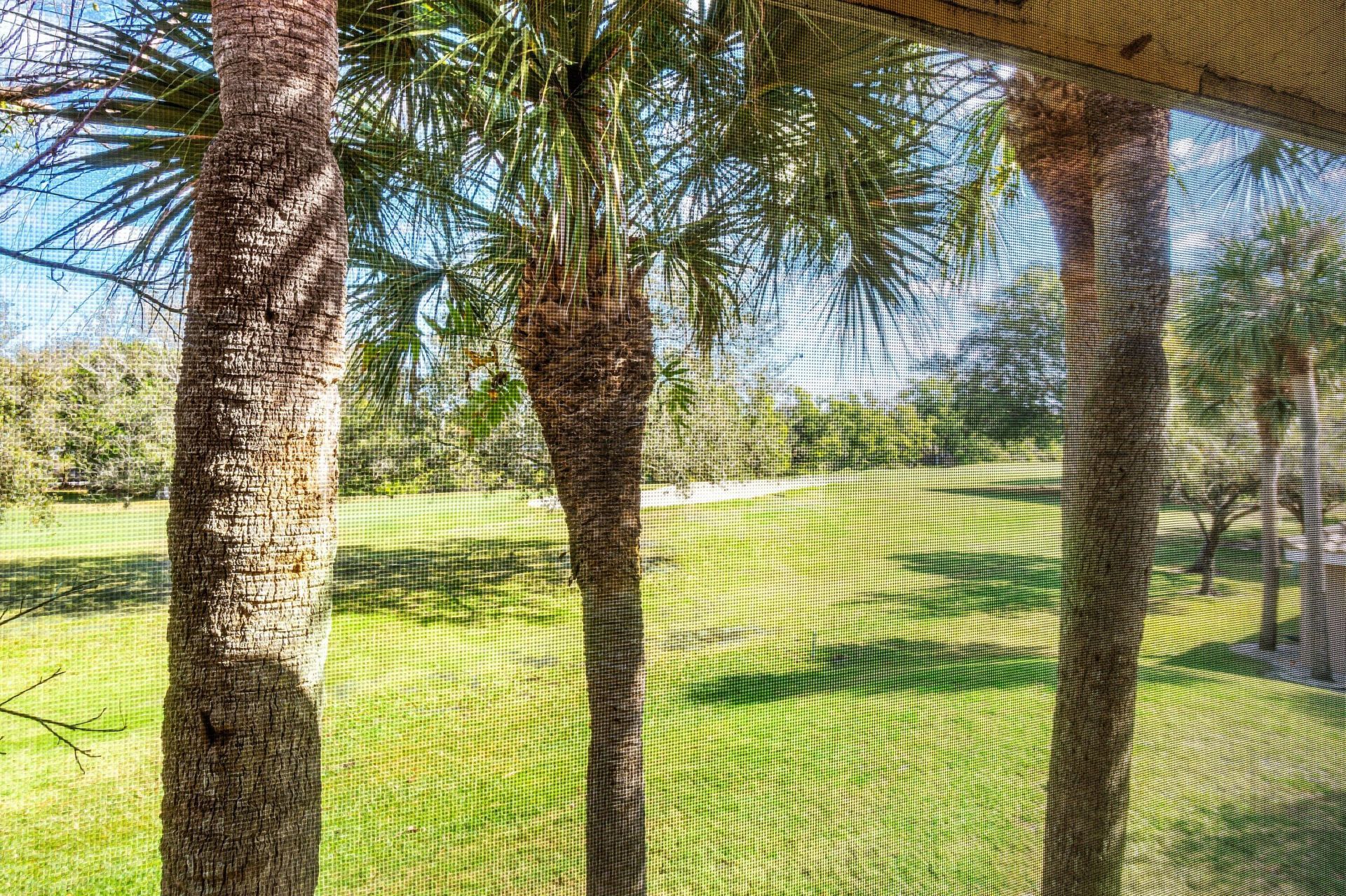 11177 Aspen Glen Drive, Unit 206, Boynton Beach, FL 33437 Photo