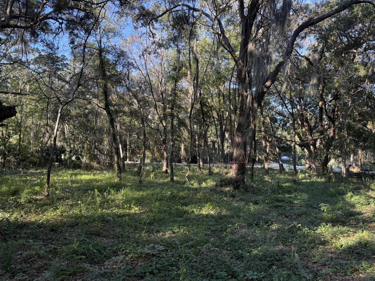 404 Tanner Trail Photo 10