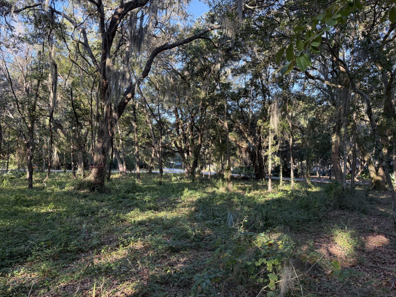 404 Tanner Trail Photo 11