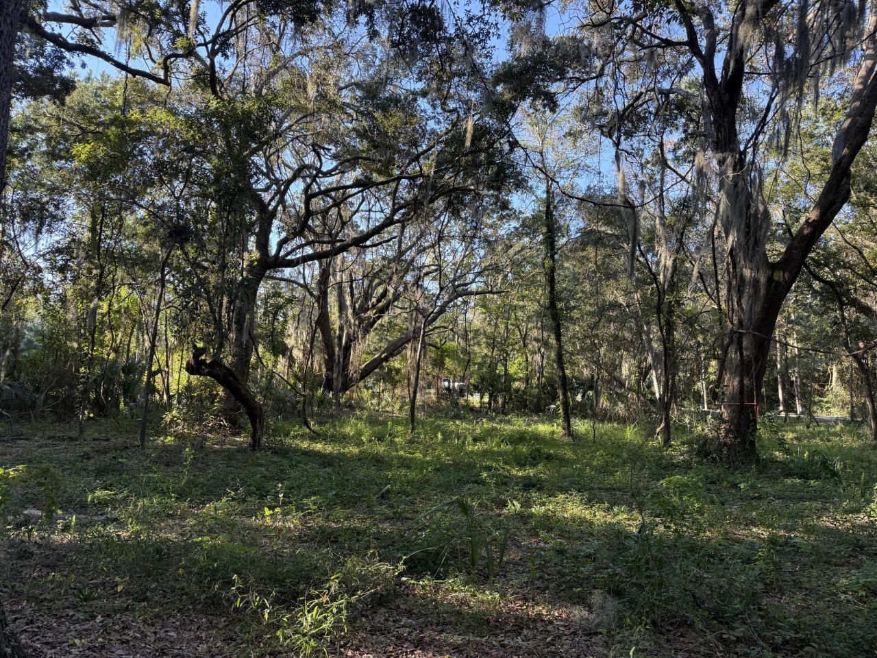 404 Tanner Trail Photo 12