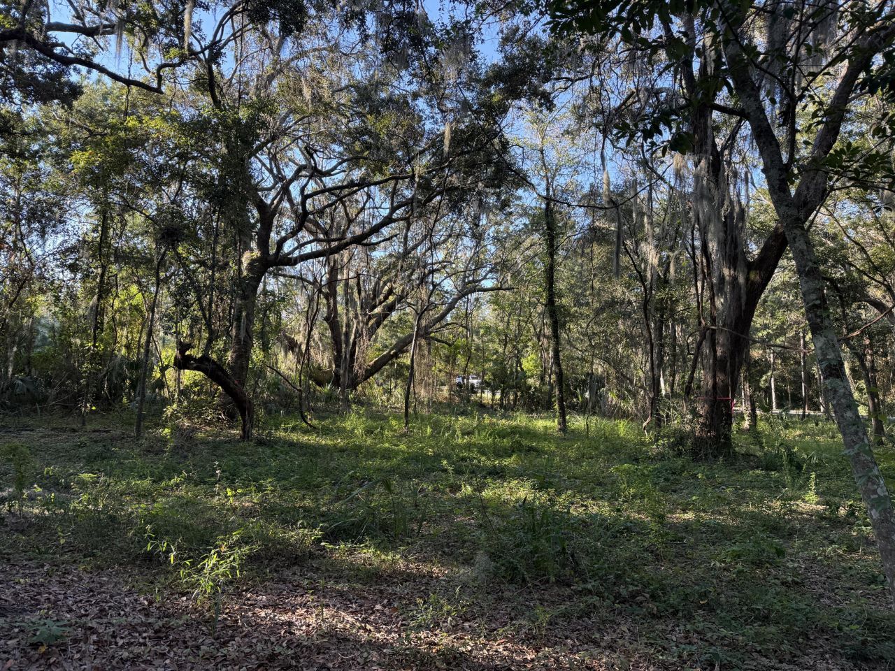 404 Tanner Trail Photo 13