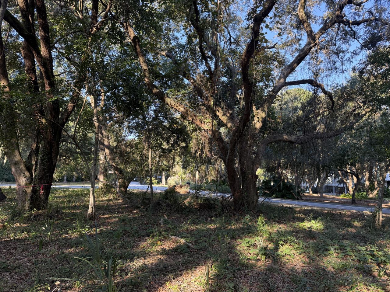 404 Tanner Trail Photo 14