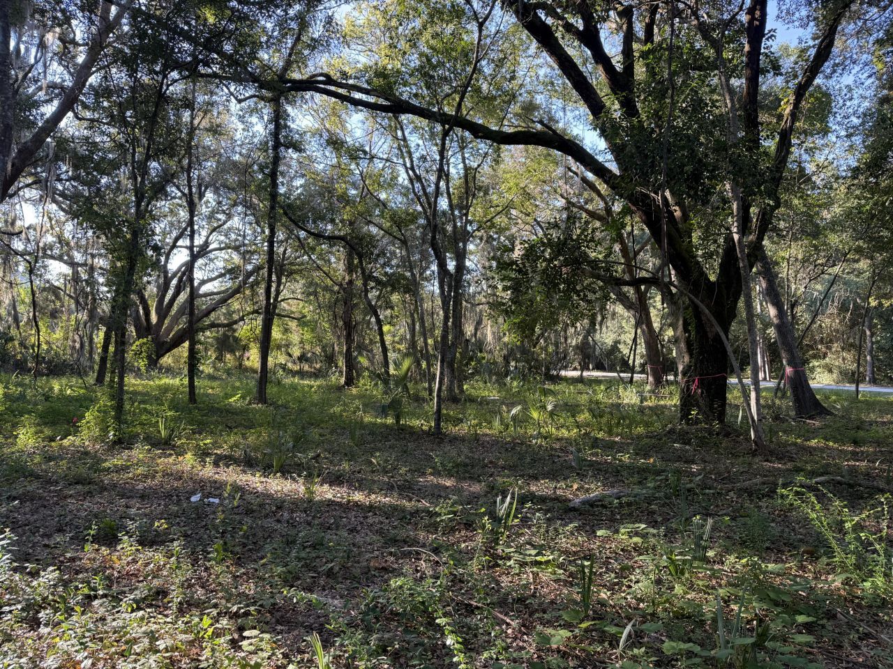 404 Tanner Trail Photo 15