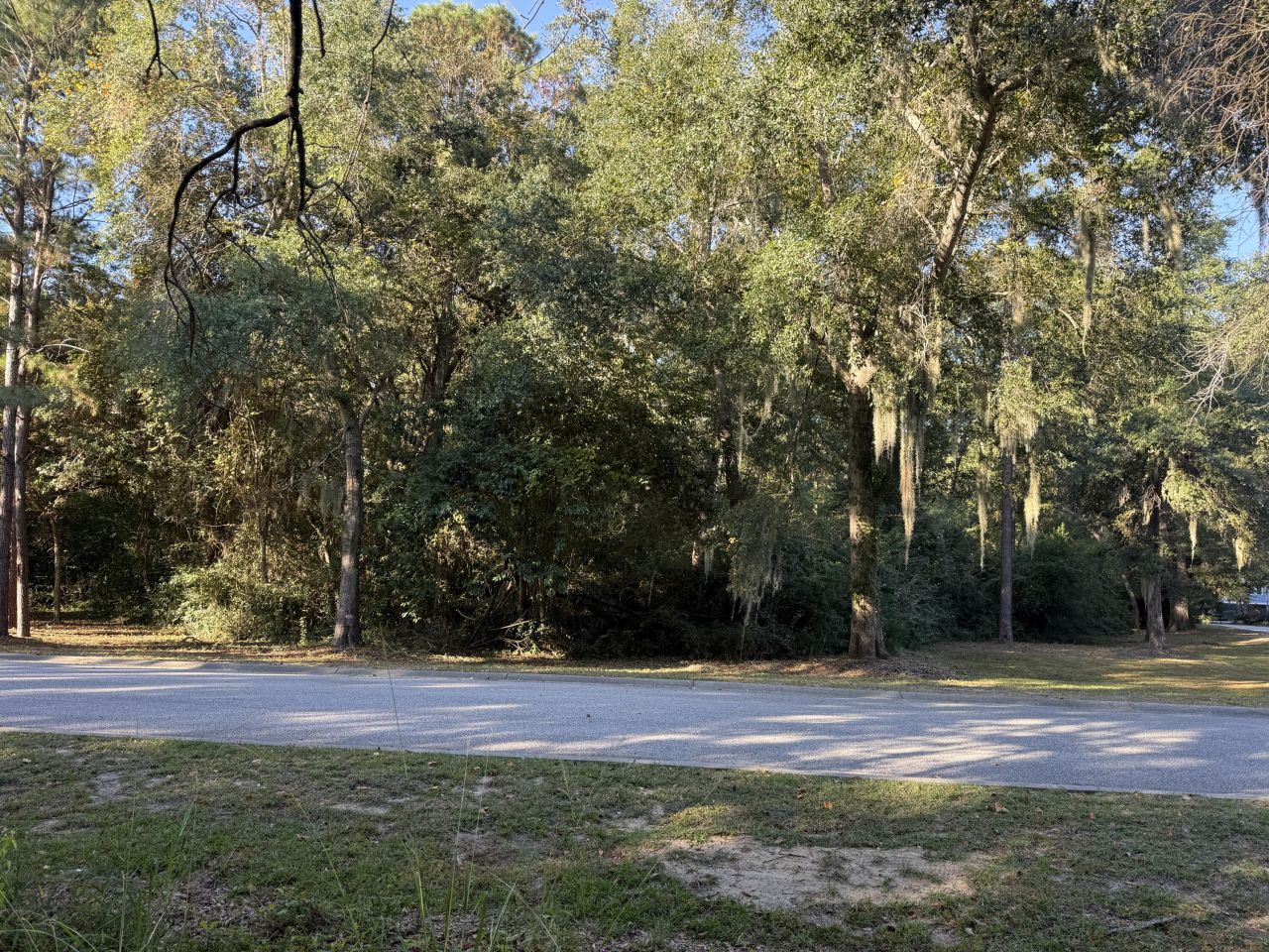 404 Tanner Trail Photo 16