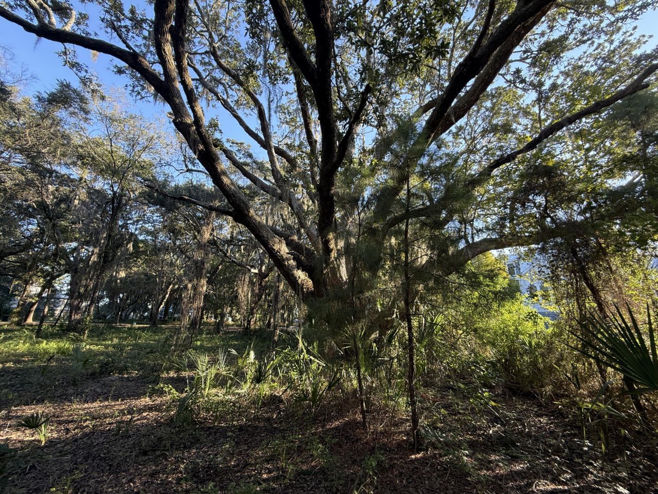 404 Tanner Trail Photo 4