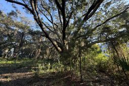 404 Tanner Trail photo 4