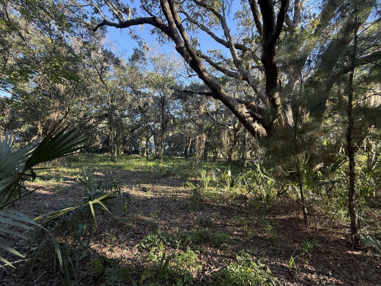 404 Tanner Trail Photo 5