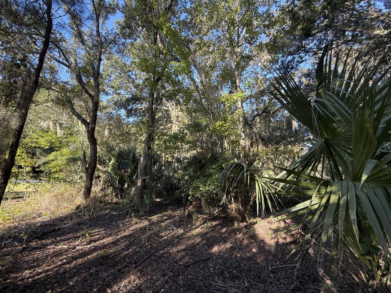 404 Tanner Trail Photo 6