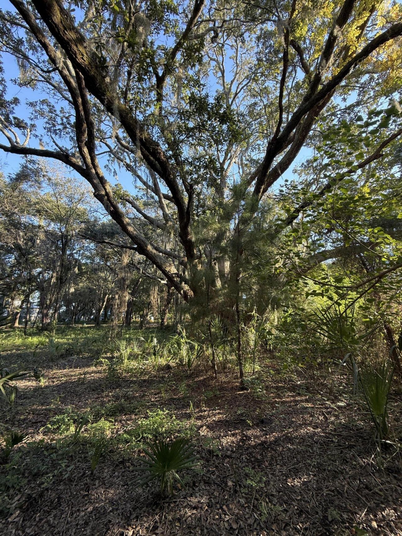 404 Tanner Trail Photo 7