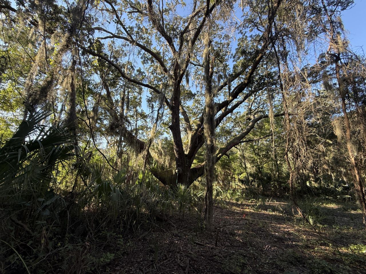 404 Tanner Trail Photo 8