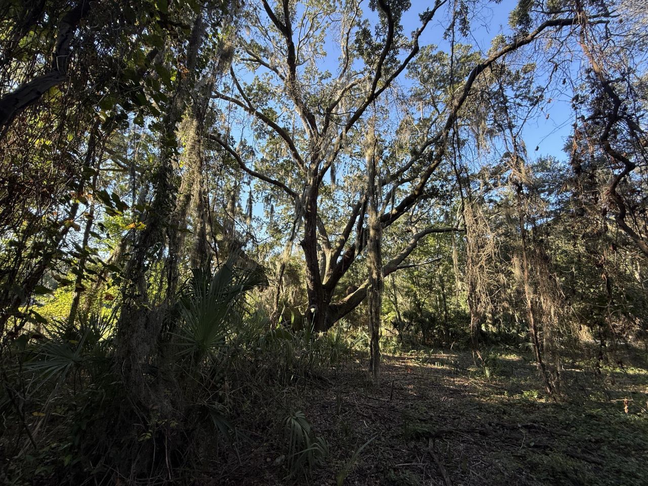 404 Tanner Trail Photo 9