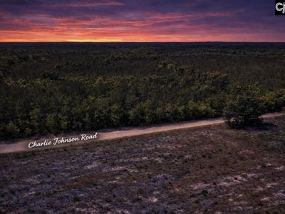 Lot 4 Charlie Johnson Road, Bethune, SC 29009