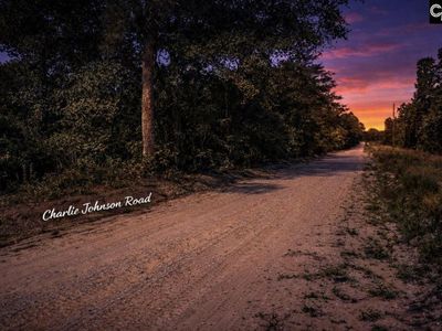 Lot 4 Charlie Johnson Road, Bethune, SC 29009