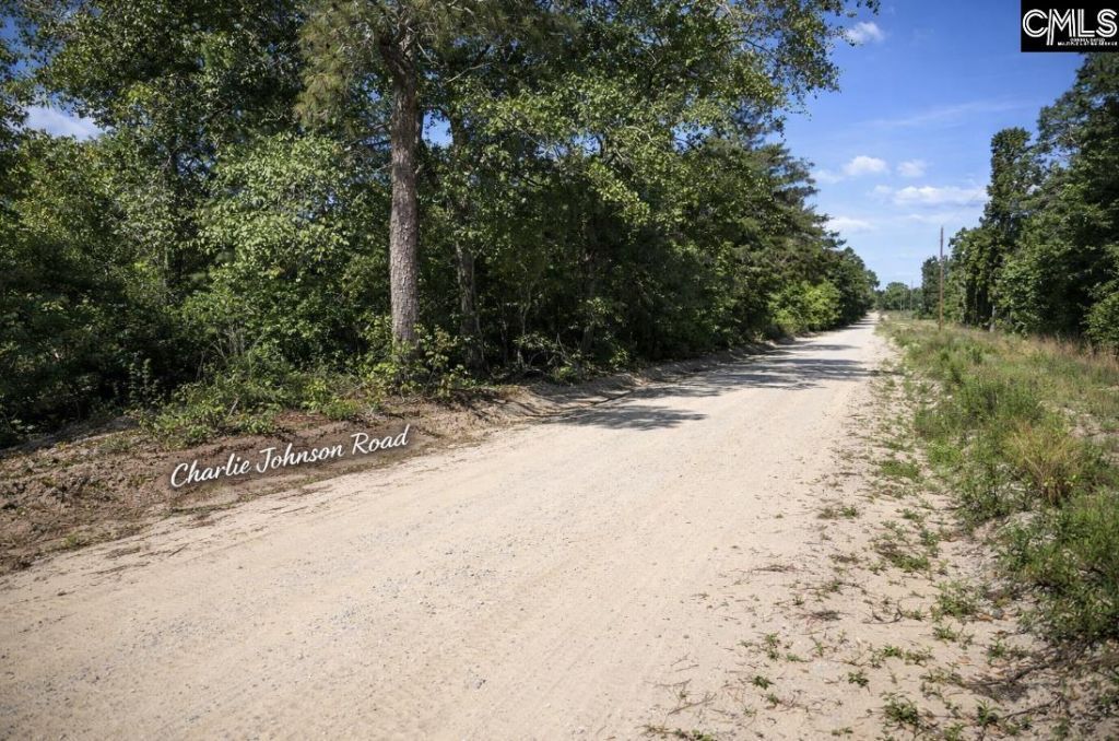 Lot 4 Charlie Johnson Road  Photo 4