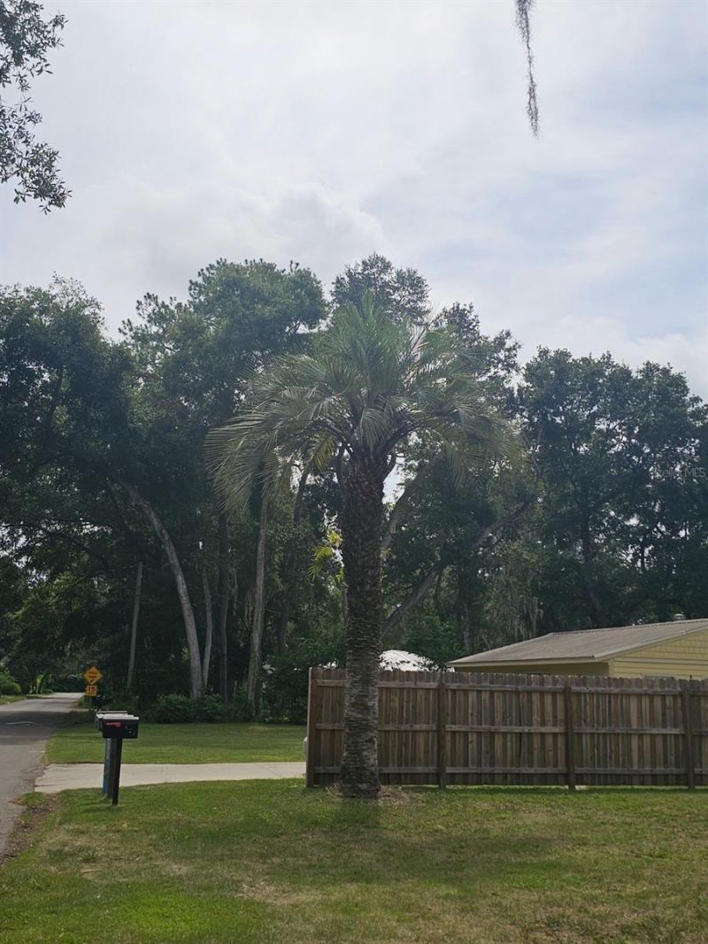 903 NW 33rd Avenue, Gainesville, FL 32609 Photo