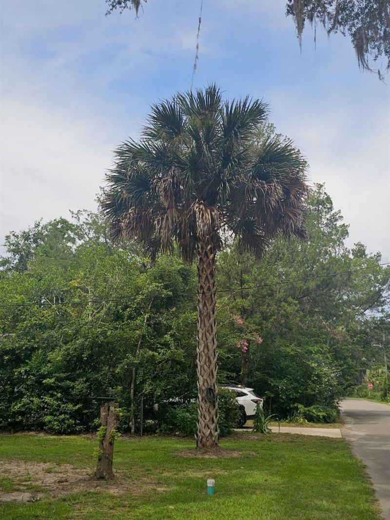 903 NW 33rd Avenue, Gainesville, FL 32609 Photo