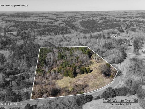 3736 Wyatte Tyro Road, Senatobia, MS 38668