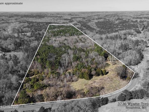 3736 Wyatte-Tyro Road, Senatobia, MS 38668