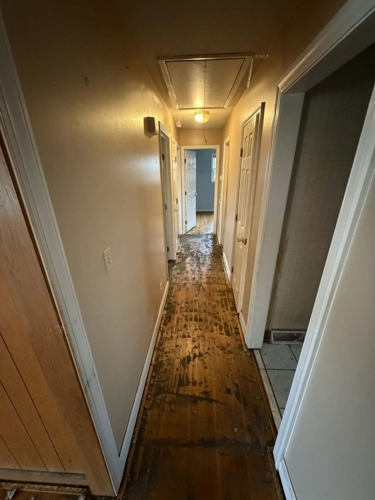 3871 Karen Drive Photo 8