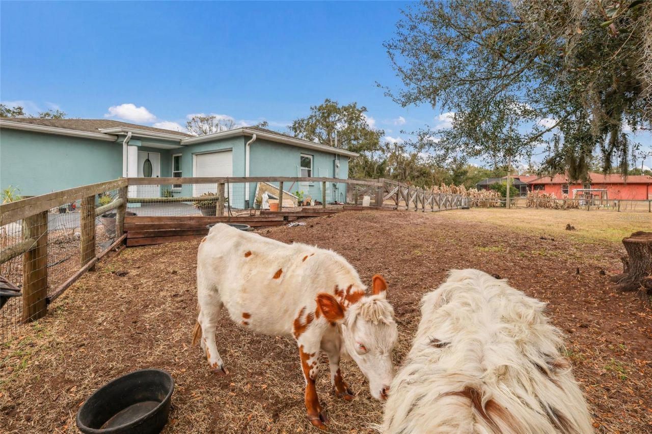 2731 Logue Road, Myakka City, FL 34251 Photo