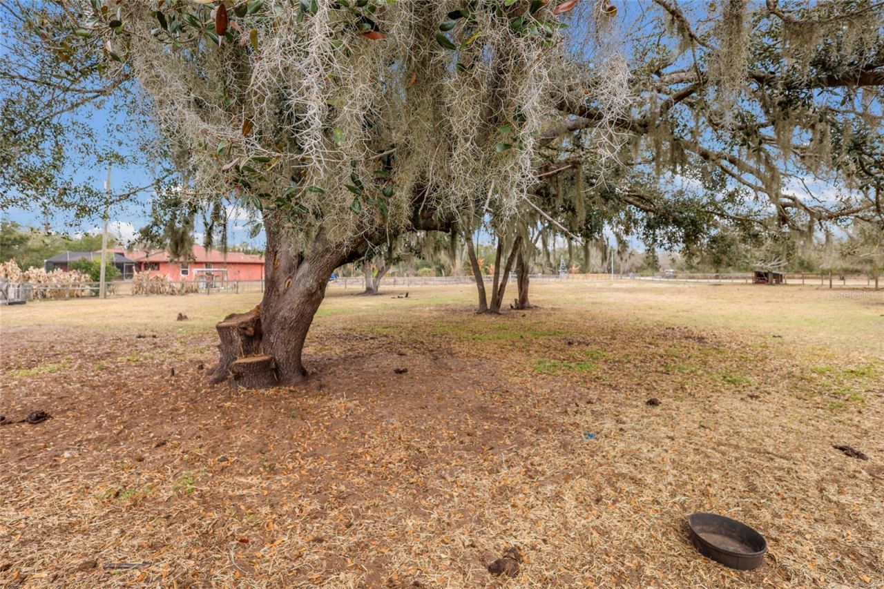 2731 Logue Road, Myakka City, FL 34251 Photo