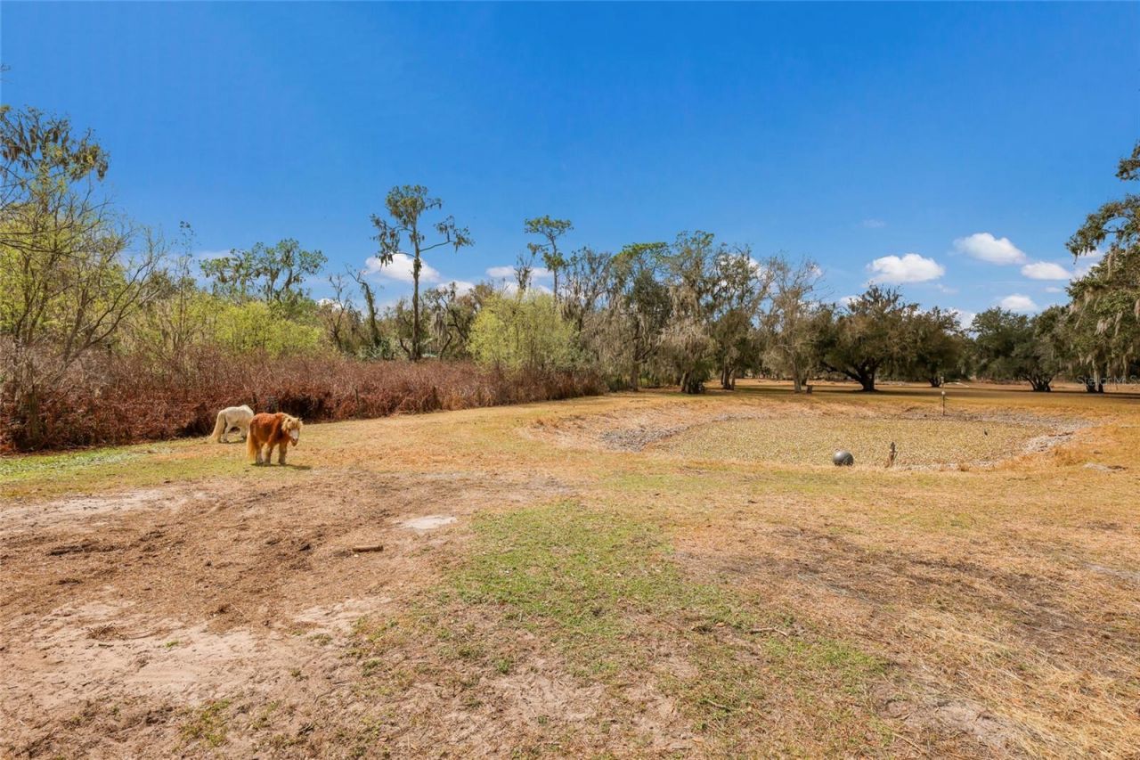 2731 Logue Road, Myakka City, FL 34251 Photo