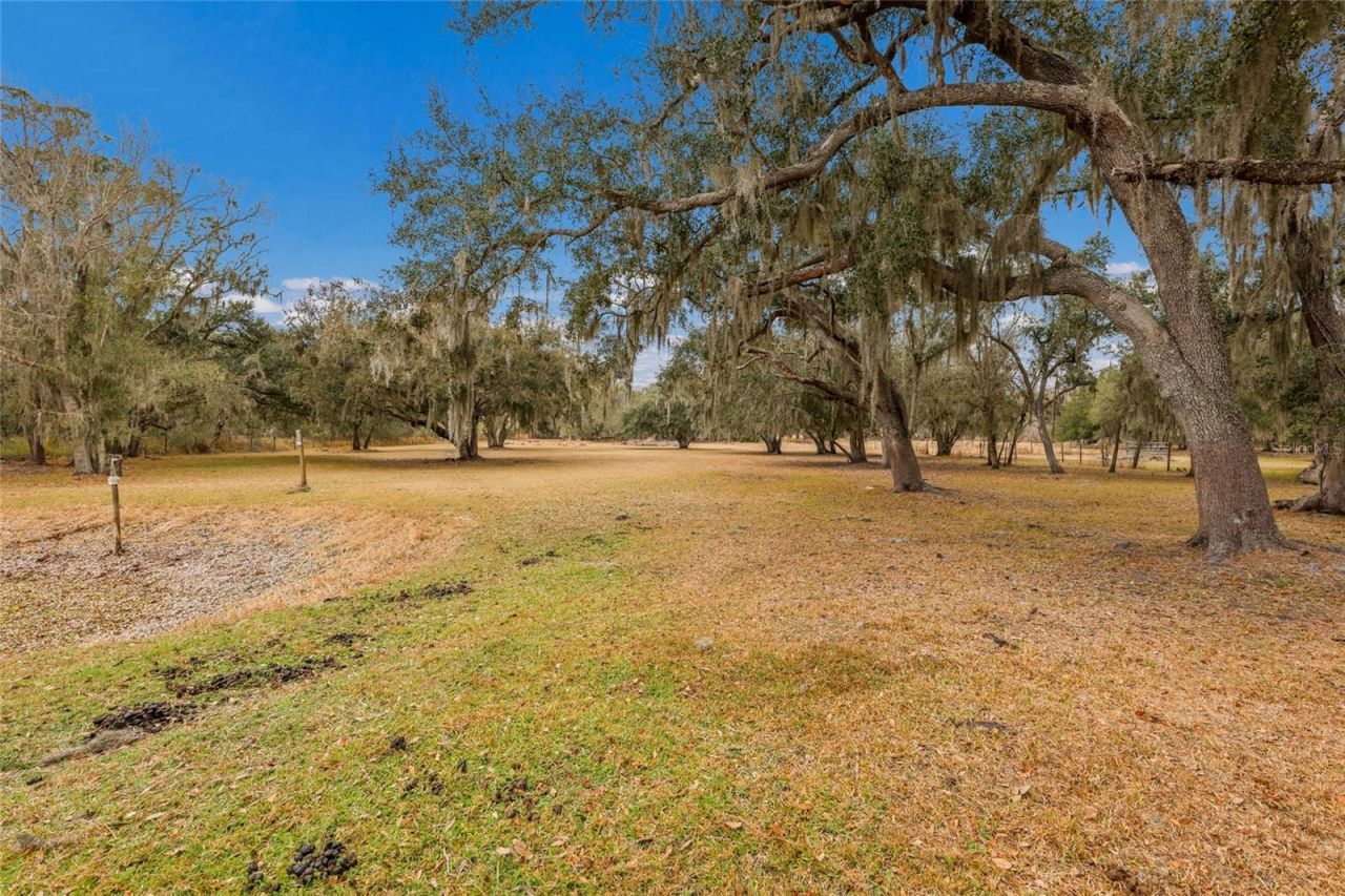 2731 Logue Road, Myakka City, FL 34251 Photo