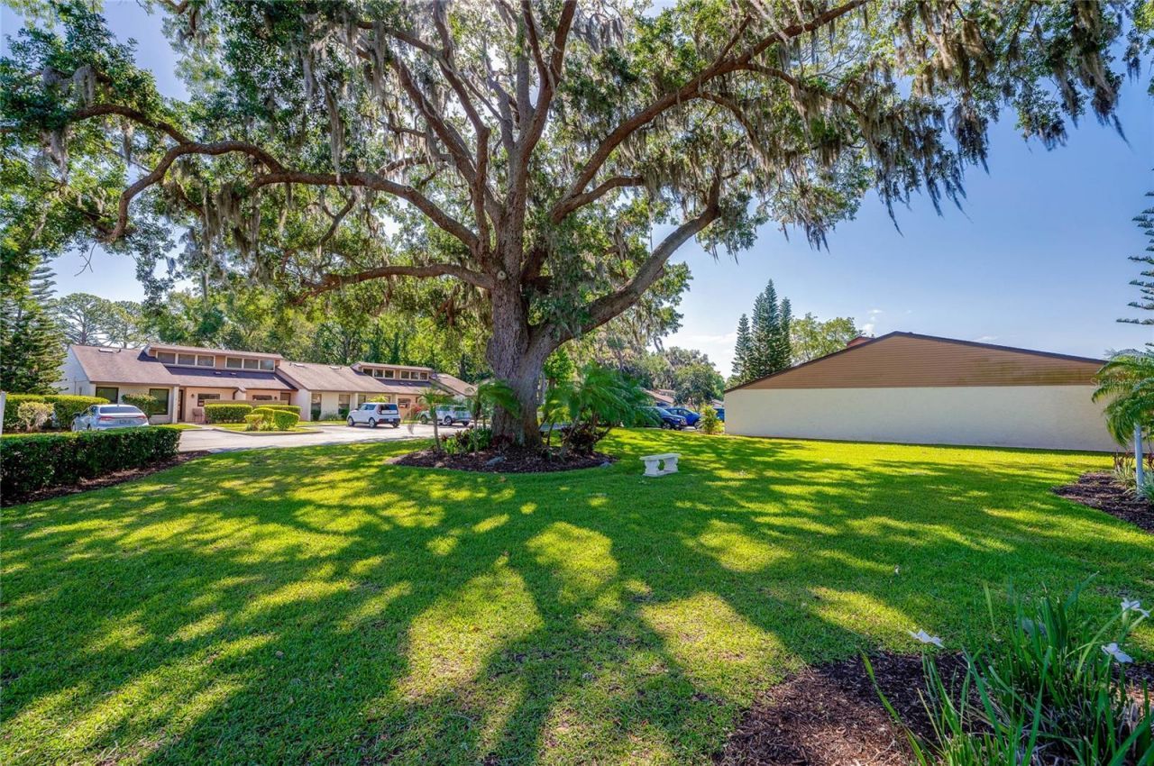 1228 Charter Oaks Circle, Holly Hill, FL 32117 Photo