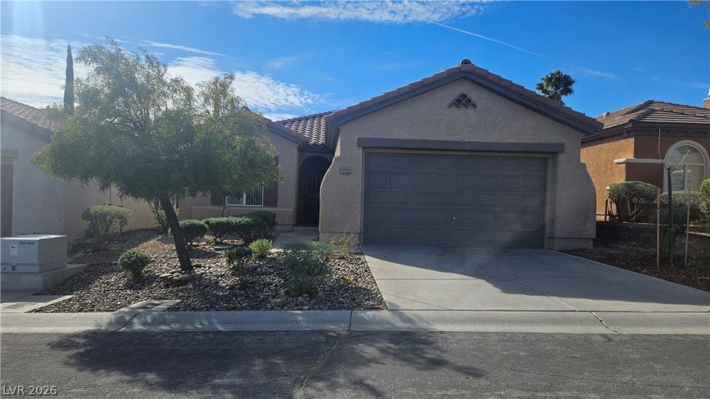 11233 Vintners Lane, Las Vegas, NV 89138 Main Photo