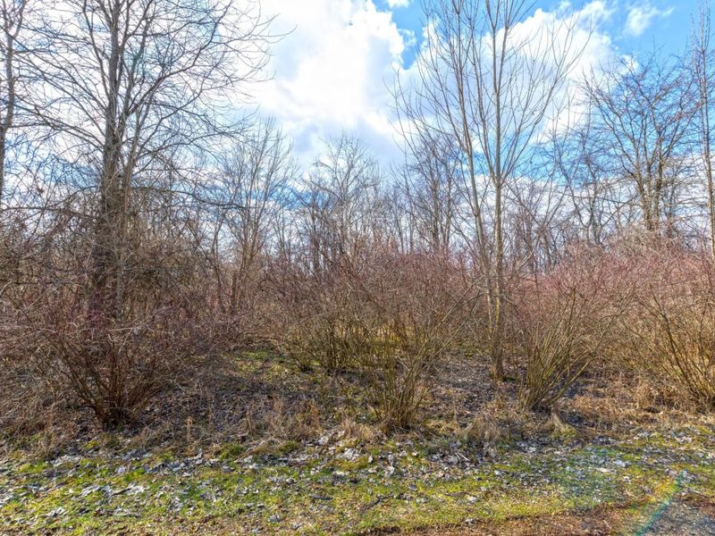 5722 US Highway 23 N, Delaware, OH 43015 Photo 6