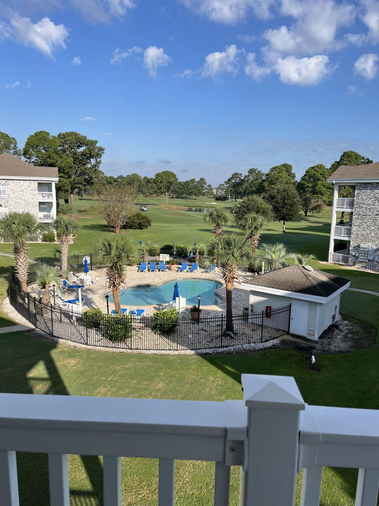 4681 Wild Iris Dr. Photo 28