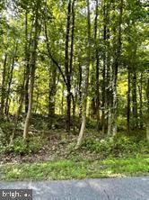 4329 Flora Avenue, Prince Frederick, MD 20678 Main Photo