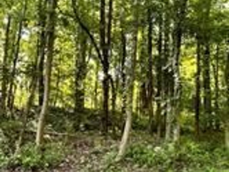 4329 Flora Avenue, Prince Frederick, MD 20678 Main Photo