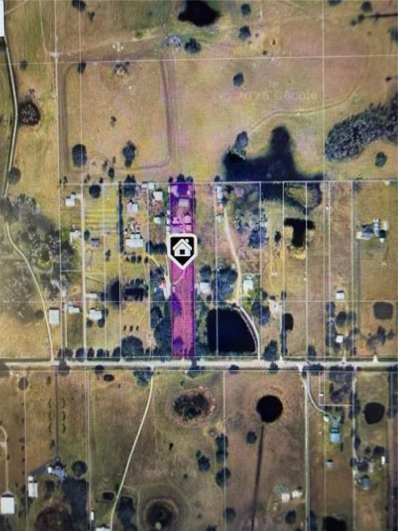 3970 E Knights Griffin Road, Plant City, FL 33565 Photo