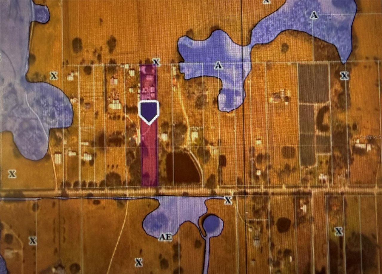 3970 E Knights Griffin Road, Plant City, FL 33565 Photo