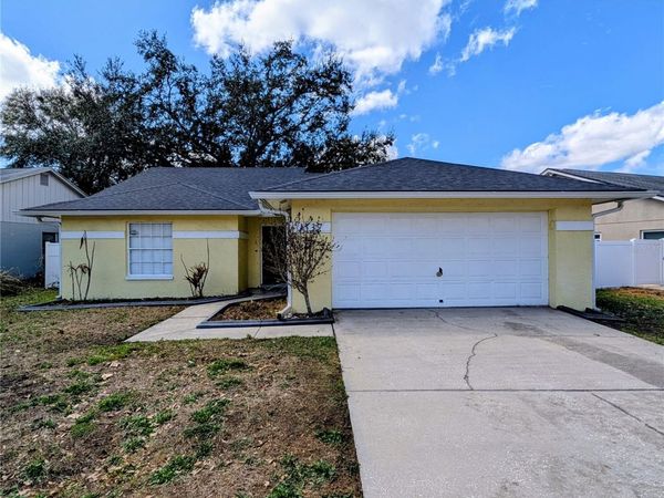 1537 GUNSMITH DRIVE , LUTZ, FL 33559