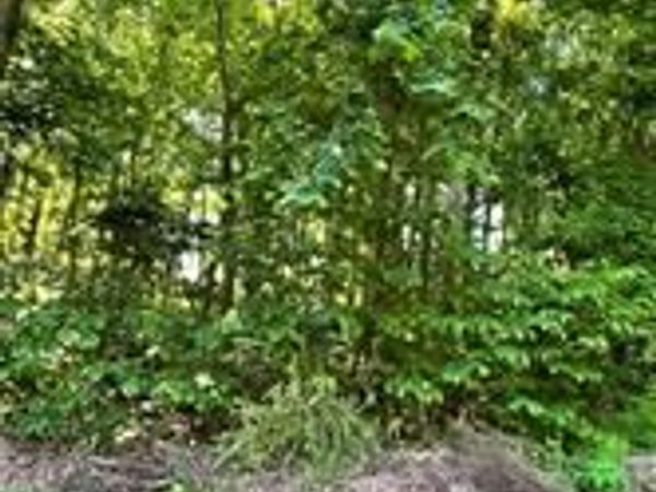 4341 FLORA AVENUE, PRINCE FREDERICK, MD 20678