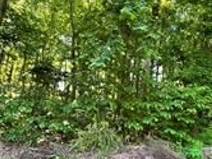 4341 Flora Avenue, Prince Frederick, MD 20678 Main Photo